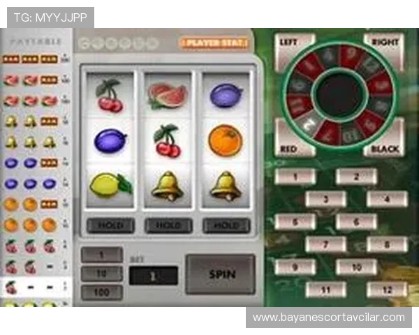 多样化的老虎机网页游戏主题设计，满足不同玩家的个性化娱乐需求