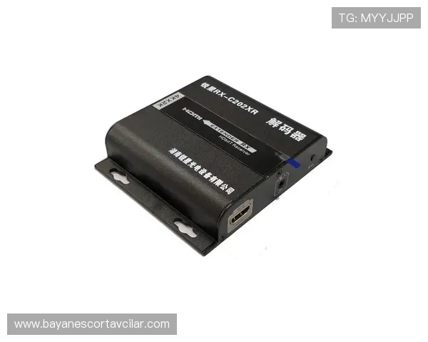 老虎机游戏机解码器的维护与升级技巧,延长设备使用寿命的实用方法