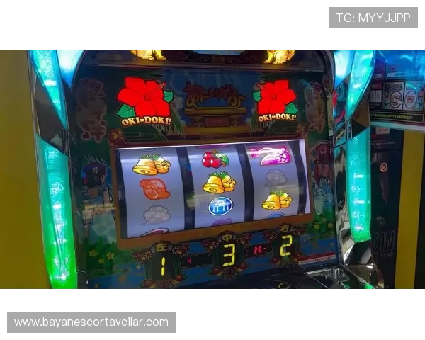 老虎机玩法规则详解:从入门到精通,全面解析老虎机的玩法规则与操作技巧