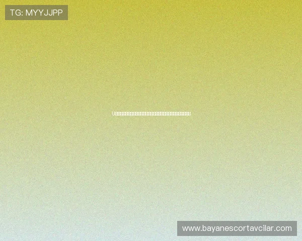 U体育官方入口全面解析，提供最便捷的登录方式和最新赛事资讯推荐